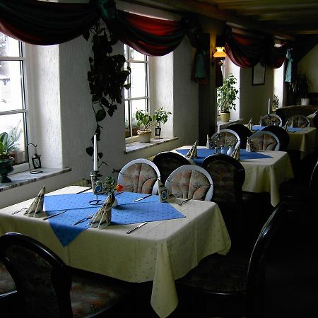Landhotel Am Fuchsbach Berga  Extérieur photo